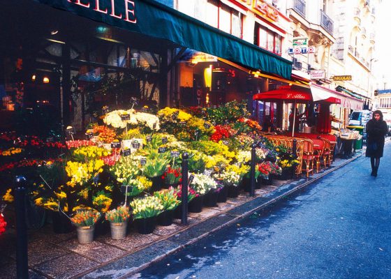 WALK FROM SAINT GERMAIN DES PRÉS TO SAINT MICHE