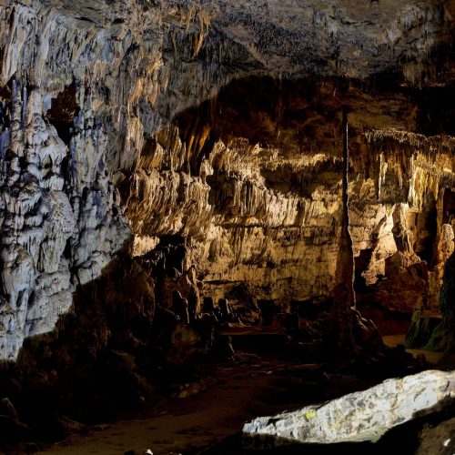 vignoble de chablis et grottes d arcy sur cure 00001